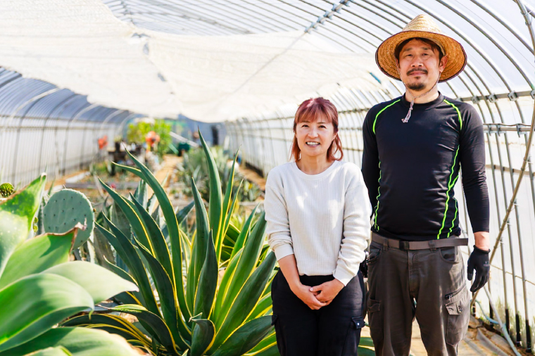 パリー・パリー （KCP-5）