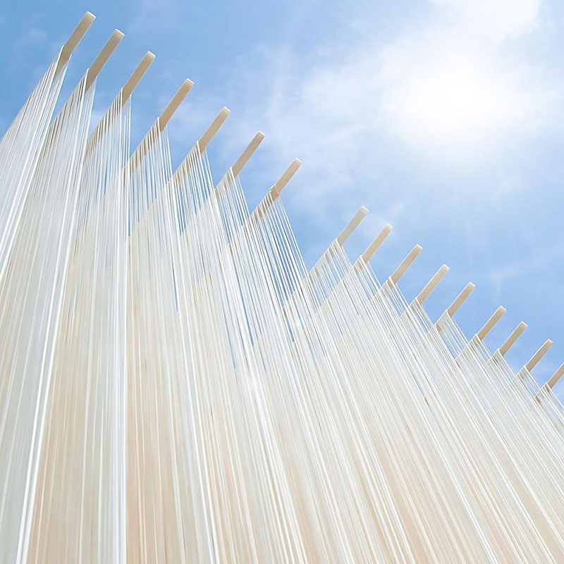 小豆島手延素麺 島の光 1袋250g 2種6袋セット 紙箱【特級品黒帯×4オリーブ素麺×2】