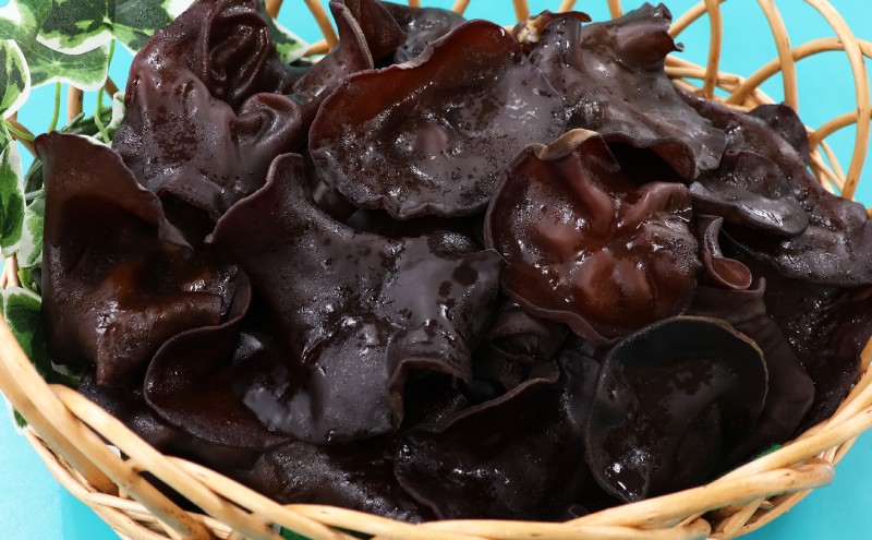 東京都墨田区産　生キクラゲ300g（150g×2パック）、乾燥キクラゲ60g（30g×2袋）　食品 野菜 きのこ キノコ きくらげ キクラゲ 木耳 純国産 新鮮 サラダ 和え物 炒め物 鍋