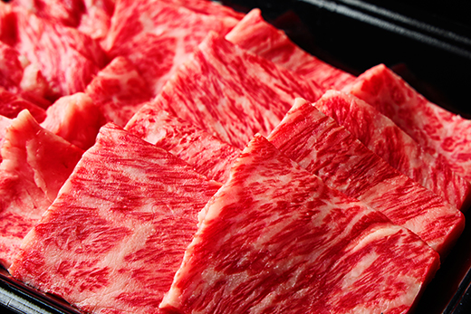 �y���ꌧ�ߍ]�����s�z�ߍ]�� ���[�X�ē��p�y450g�z�yA4A5���� �z ���o�Y������yFO67W�z