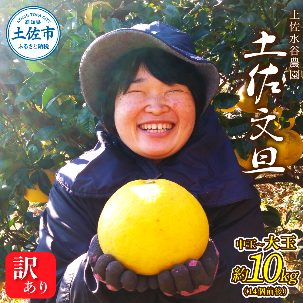 本場、高知県土佐市産！土佐水谷農園の露地土佐文旦 家庭用10キロ 10kg 中玉～大玉（3L～上限なし：14玉前後）皮むき器付き 訳あり 文旦 ぶんたん ブンタン 土佐文旦 ご自宅用 柑橘 フルーツ 果物 土佐 高知