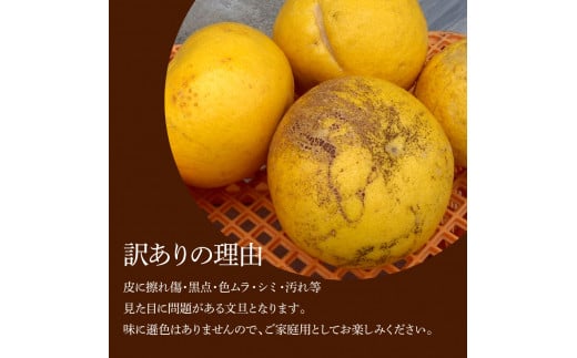 本場、高知県土佐市産！土佐水谷農園の露地土佐文旦 家庭用10キロ 10kg 中玉～大玉（3L～上限なし：14玉前後）皮むき器付き 訳あり 文旦 ぶんたん ブンタン 土佐文旦 ご自宅用 柑橘 フルーツ 果物 土佐 高知