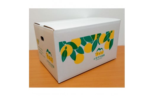 本場、高知県土佐市産！土佐水谷農園の露地土佐文旦 家庭用5キロ 5kg 中玉～大玉（3L～上限なし：7玉前後）皮むき器付き 訳あり