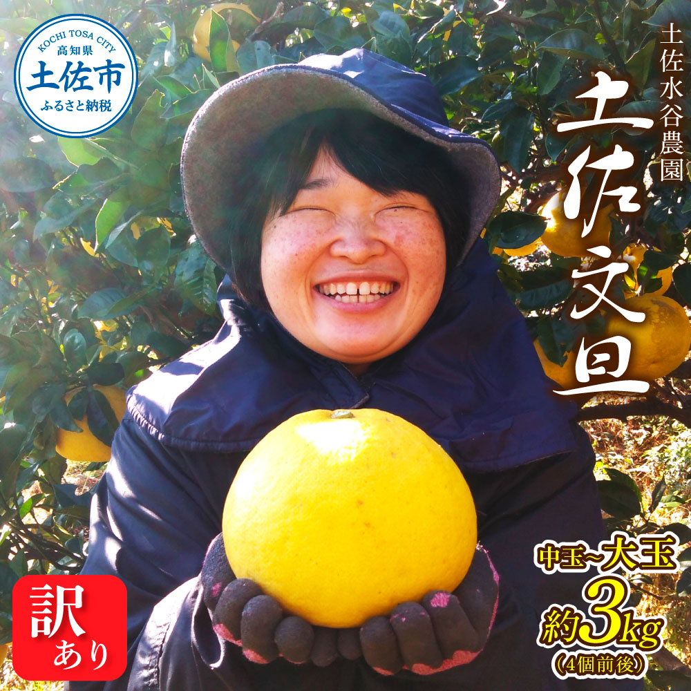 本場、高知県土佐市産！土佐水谷農園の露地土佐文旦 家庭用3キロ 3kg 中玉～大玉（3L～上限なし：4玉前後）皮むき器付き 訳あり 文旦 ぶんたん ブンタン 土佐文旦 ご自宅用 柑橘 フルーツ 果物 土佐 高知