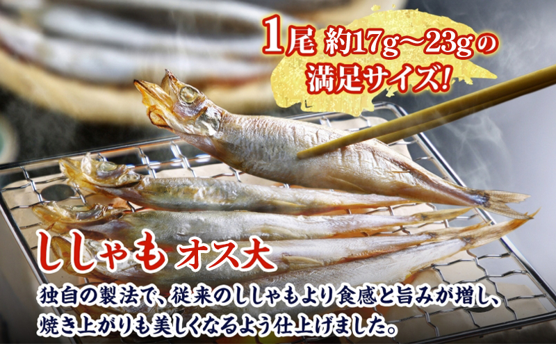 北海道産ししゃもオス大30尾 北海道 稀少 魚 シシャモ オス おつまみ 魚貝類 干物 本物 人気 希少 塩 味付け 脂のり 旨み 美味しい 大きい