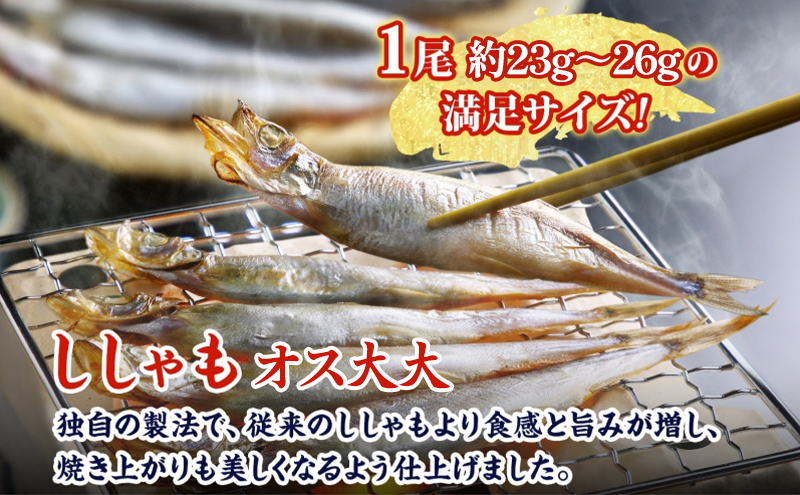 北海道産ししゃもオス大大30尾 北海道 稀少 魚 シシャモ オス おつまみ 魚貝類 干物 本物 人気 希少 塩 味付け 脂のり 旨み 美味しい 大きい
