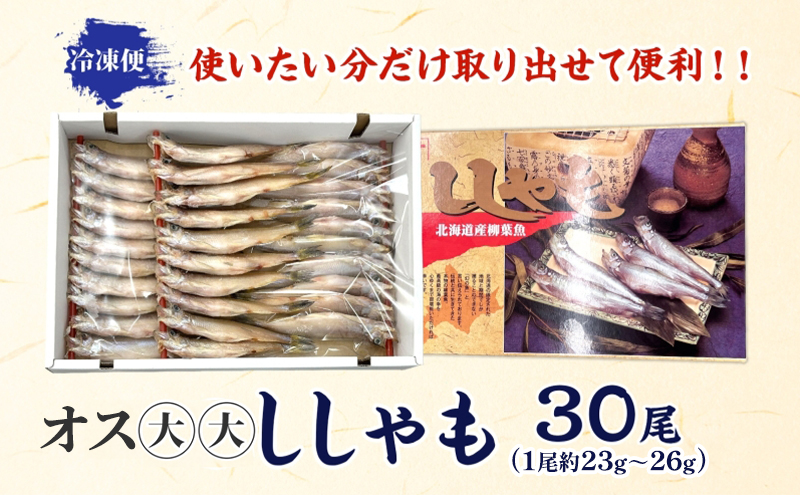 北海道産ししゃもオス大大30尾 北海道 稀少 魚 シシャモ オス おつまみ 魚貝類 干物 本物 人気 希少 塩 味付け 脂のり 旨み 美味しい 大きい
