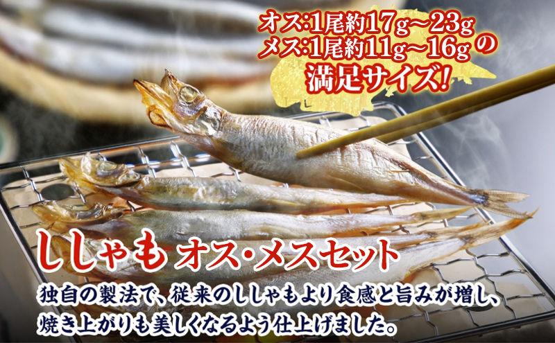 北海道産ししゃもオスメス40尾セット 北海道 稀少 魚 シシャモ メス オス セット おつまみ 魚貝類 干物 本物 人気 希少 塩 味付け 脂のり 旨み 美味しい 大きい