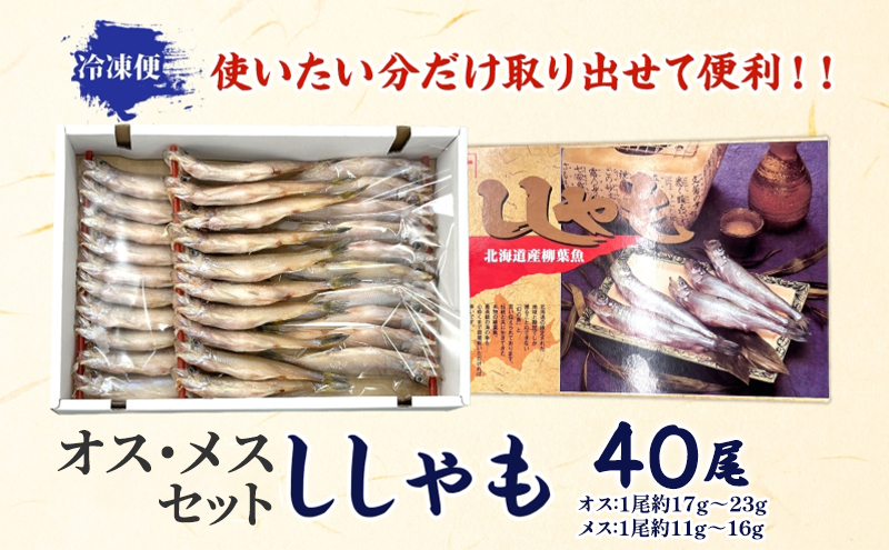 北海道産ししゃもオスメス40尾セット 北海道 稀少 魚 シシャモ メス オス セット おつまみ 魚貝類 干物 本物 人気 希少 塩 味付け 脂のり 旨み 美味しい 大きい