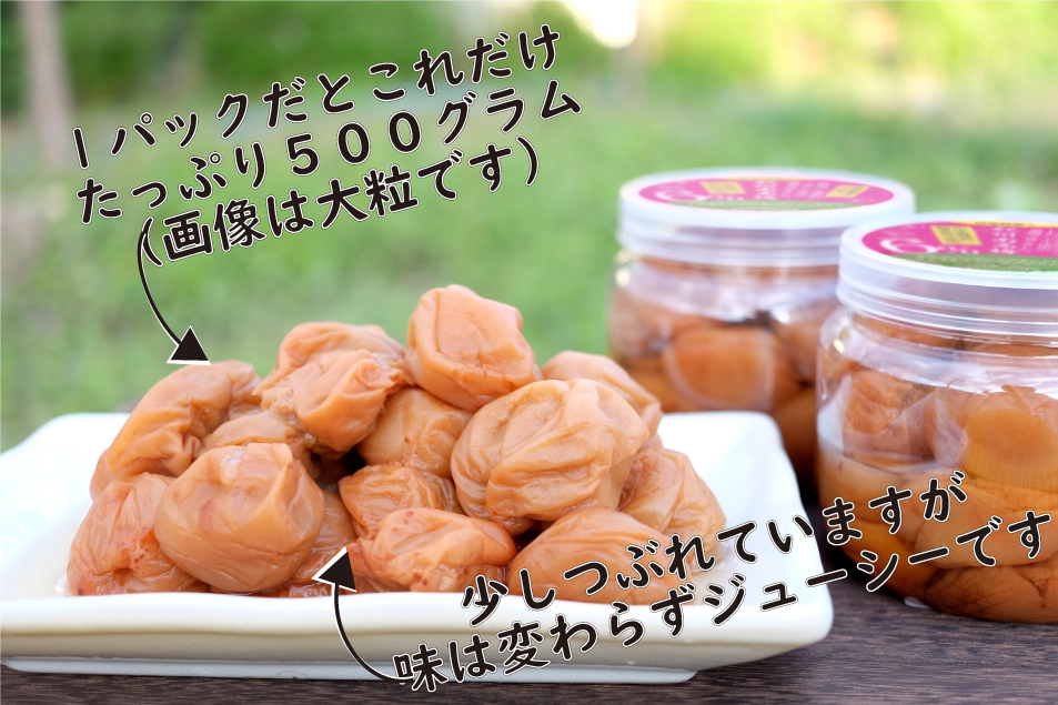 梅干し 無添加 訳あり はちみつ梅干1kg（500g×2） 紀州梅香 ◇ ｜ 和歌山 みなべ町 梅干し ウメ 梅 梅干 南高梅 減塩