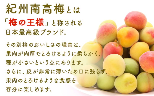 梅干し 無農薬、無添加の訳あり減塩つぶれ梅1kg（500g×2）塩分3％ ◇ ｜ 和歌山 みなべ町 梅干し ウメ 梅 梅干 南高梅 減塩