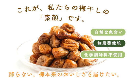 梅干し 無農薬、無添加の訳あり減塩つぶれ梅1kg（500g×2）塩分3％ ◇ ｜ 和歌山 みなべ町 梅干し ウメ 梅 梅干 南高梅 減塩