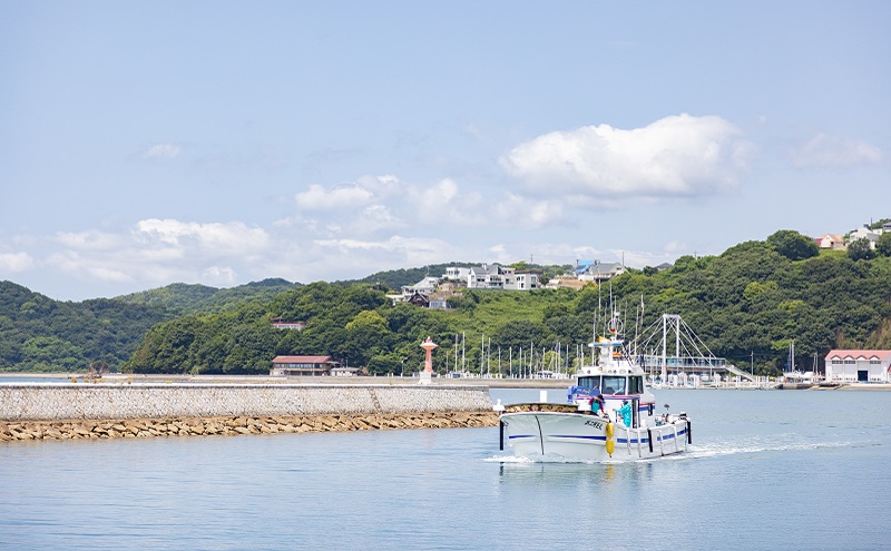 ちりめんの旨みをずっと感じられるふりかけ ちり旨ふりかけ 梅小町 3個セット【ちりめん ちりめんじゃこ　あみえび アミエビ 牛窓ちりめん 梅 ふりかけ カリカリ おにぎり 混ぜご飯 ご飯のお供 岡山 瀬戸内市 牛窓 服部水産 】