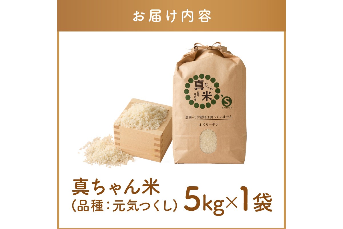 福岡県飯塚市のふるさと納税 【令和7年産】農薬・化学肥料不使用 真ちゃん米 5kg【B7-036】