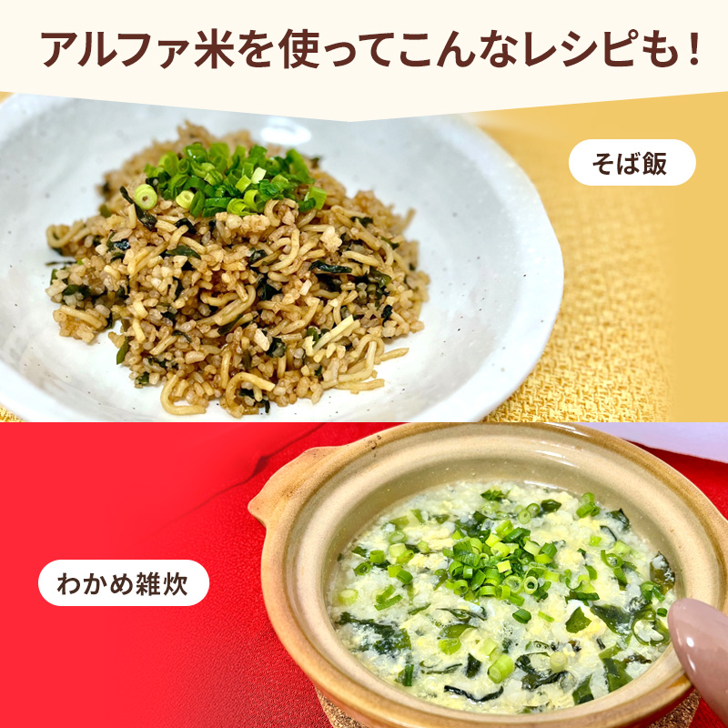 熊本県錦町産森のくまさん使用！ わかめごはん 100g 10袋セット もちもち食感　甘みしっかり アルファ米 保存食 非常食 長期保存 アルファ化米