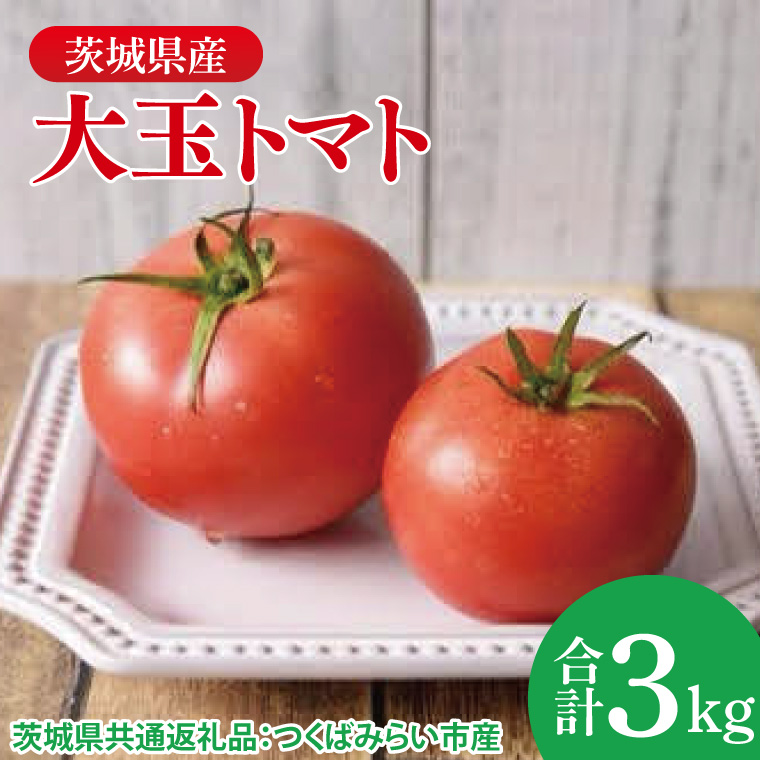 大玉トマト 3kg（茨城県共通返礼品：つくばみらい市産）|トマト　大きい 野菜 夏野菜 数量限定 つくばみらい市産 共通返礼品 茨城県 大子町（CD148）
