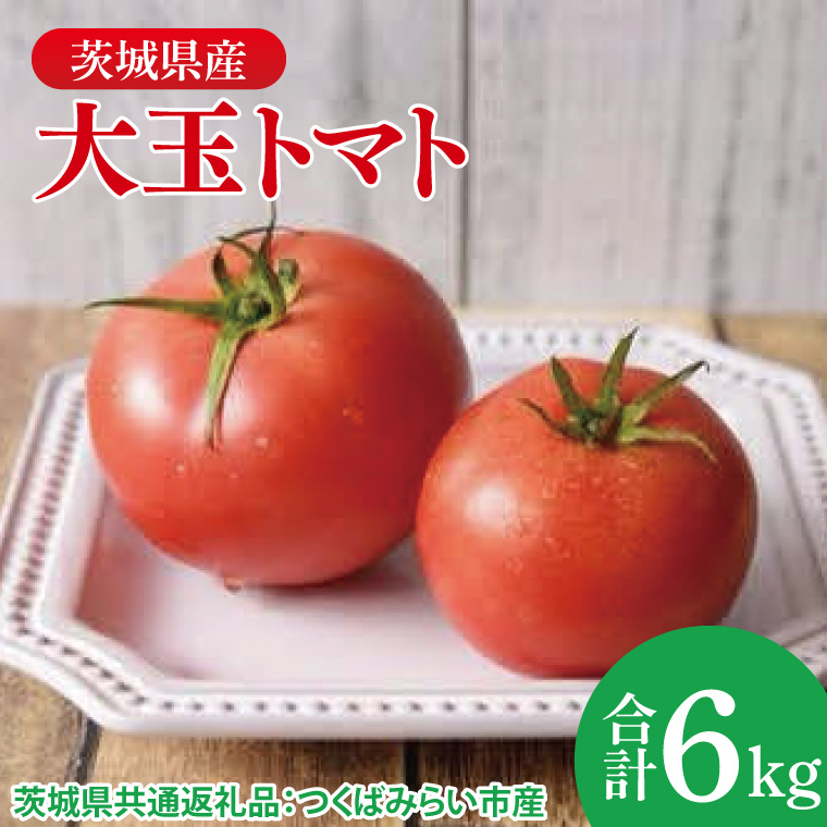 大玉トマト 6kg（茨城県共通返礼品：つくばみらい市産）|トマト　大きい 野菜 夏野菜 数量限定 つくばみらい市産 共通返礼品 茨城県 大子町（CD149）