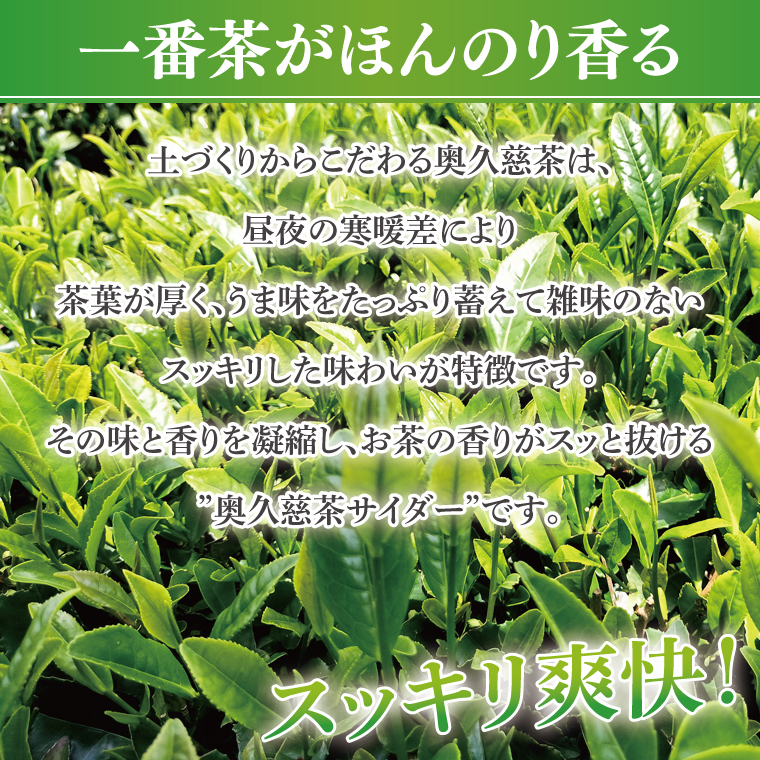 【数量限定】奥久慈茶サイダー 200ml×6本セット｜茨城県 大子町 緑茶 ジュース 飲料 爽やか（AV013）