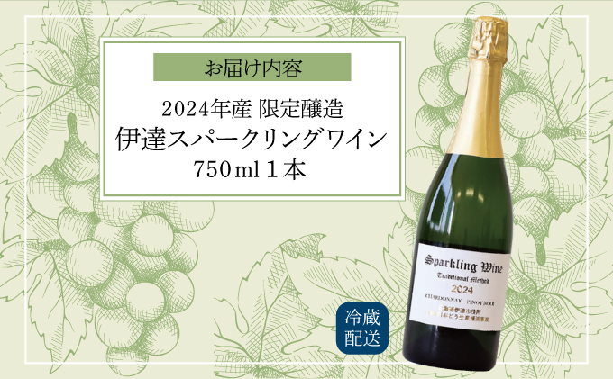 北海道伊達市のふるさと納税 北海道 伊達スパークリングワイン 750ml 1本 2024年産 限定醸造 スパークリングワイン ワイン 葡萄 ぶどう ブドウ 醸造 ヴィンテージ 白ワイン お酒 酒 アルコール 発泡酒 シャルドネ ピノ・ノワール 晩酌