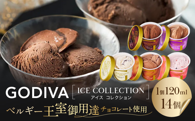 yqszSfBo ACX RNV 14 fU[g ACXN[ zsF