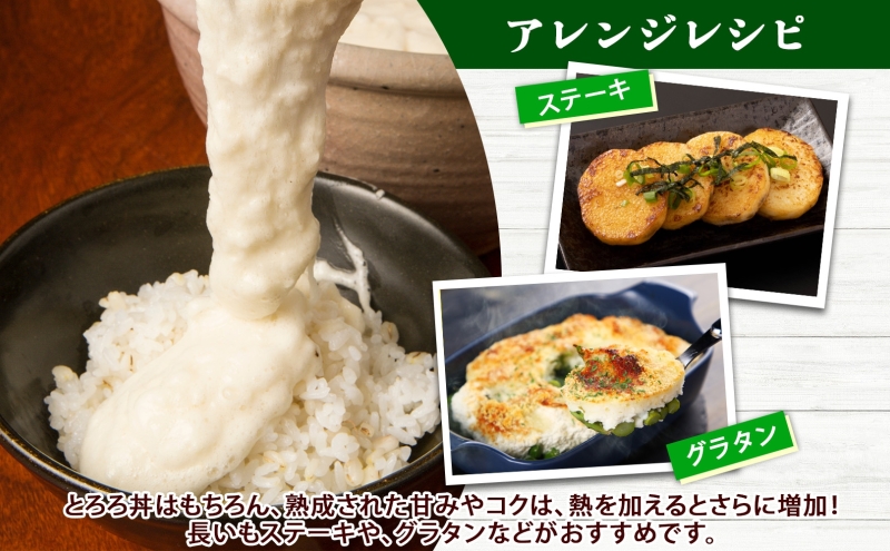 北海道産 長いも 春夏出荷 約5kg 2026年5月上旬～6月下旬頃お届け 長芋 ながいも とろろ 農作物 野菜 新鮮 根菜  山かけ 産地直送 お取り寄せ 送料無料 冷蔵 北海道 洞爺湖町