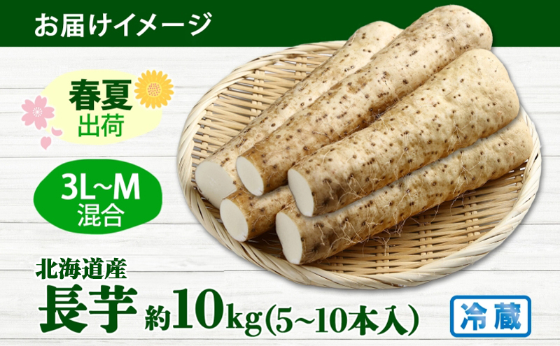 北海道洞爺湖町のふるさと納税 北海道産 長いも 春夏出荷 約10kg 2025年5月上旬～7月下旬お届け 長芋 ながいも とろろ 農作物 野菜 新鮮 根菜  山かけ 産地直送 お取り寄せ 送料無料 冷蔵 北海道 洞爺湖町
