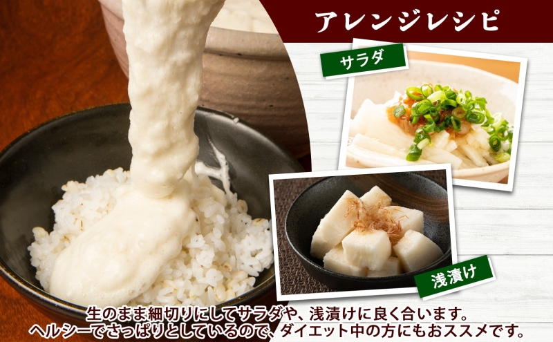 北海道産 長いも 秋冬出荷 約10kg 2025年11月中旬～2026年3月下旬お届け 長芋 ながいも とろろ 農作物 野菜 新鮮 根菜 新物 山かけ 産地直送 お取り寄せ 送料無料 冷蔵 北海道 洞爺湖町 