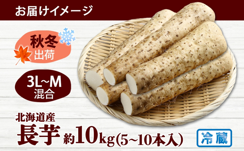 北海道産 長いも 秋冬出荷 約10kg 2025年11月中旬～2026年3月下旬お届け 長芋 ながいも とろろ 農作物 野菜 新鮮 根菜 新物 山かけ 産地直送 お取り寄せ 送料無料 冷蔵 北海道 洞爺湖町 