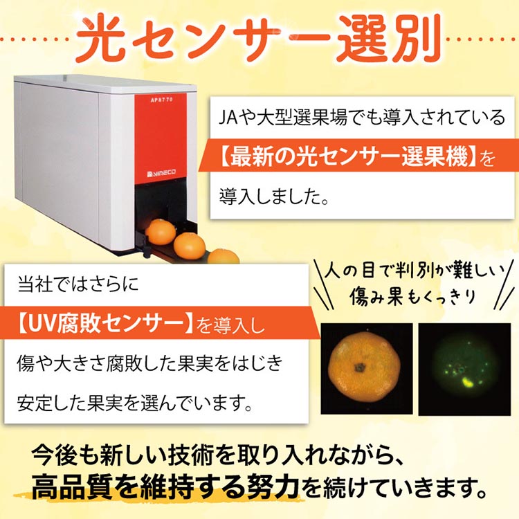 【先行予約】こだわりの青切りみかん 約4kg 農家直送 有機質肥料 100% サイズ混合 ｜ みかん 柑橘 果物 くだもの 果実 フルーツ 和歌山 有田