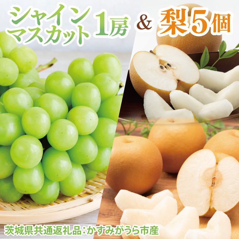 y錧qzys\zy2025N8菇zVC}XJbg1[Ɨ5i錧ʕԗiF݂sYjb}XJbg Ȃ Ȃ K L V ɂ t[c ʕ  Zbg ʌ 錧 qiCD129j