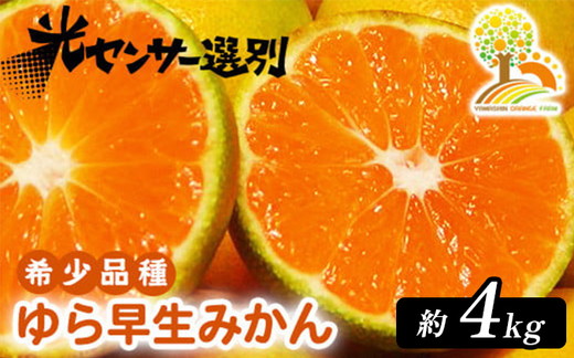 �y�a�̎R�����l���z�y��s�\��z��瑁�� �݂��� �Z���Ȗ��킢 ��4kg �󏭕i��s�L�@���엿100���t�ɑ��� �b �R�� ��� ���� �킹 ���k �ʕ� �������� �t���[�c �a�̎R �L�c