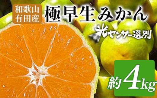 【先行予約】こだわりの極早生みかん 約4kg 農家直送 有機質肥料100% サイズ混合 ｜ みかん 極早生 早生 柑橘 果物 くだもの 果実 フルーツ 和歌山 有田