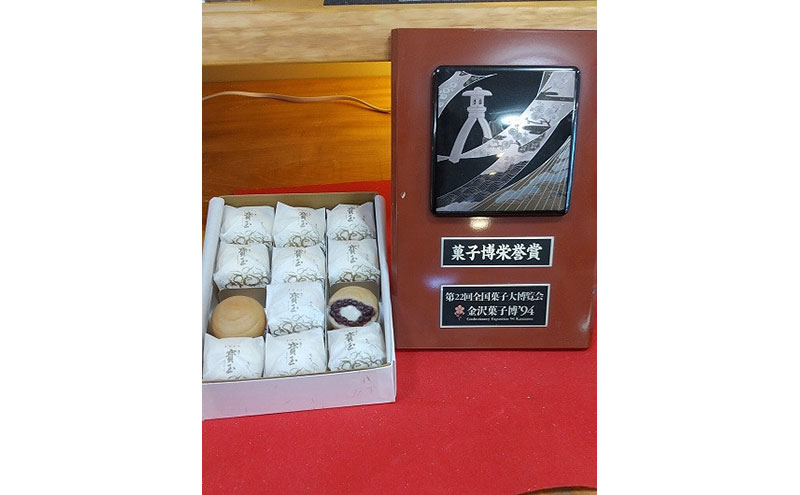 【全国菓子大博覧会「菓子博栄誉賞」受賞】 寳玉(ほうぎょく）もち入り最中　12個入り（常温便）