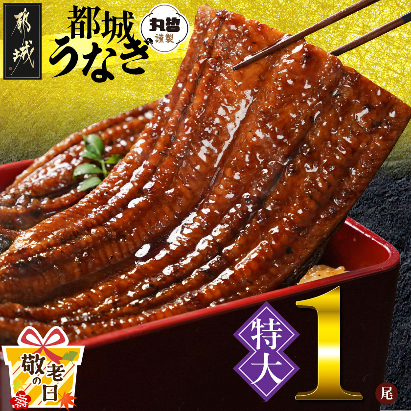 [敬老の日]宮崎県育ちの[特大]うなぎ蒲焼1尾210g以上≪山椒・たれ付≫≪9月11日〜15日お届け≫_11-M301-KG