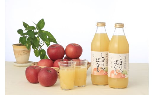 長野県千曲市のふるさと納税 信州産 りんごジュース 「しぼりっぱなし」 果汁100％ (1L×6本)｜ストレートジュース 信州 長野県 千曲市