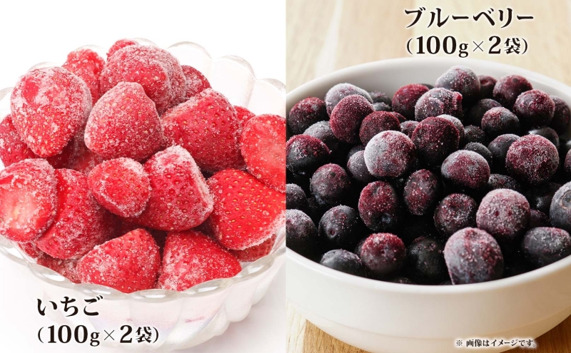 北海道産 冷凍野菜 7種 野菜 果実 セット 長ねぎ にんじん ブロッコリー かぼちゃ じゃがいも ブルーベリー いちご 詰め合わせ 小分け 簡単 便利 一人暮らし 冷凍 北海道 洞爺湖町