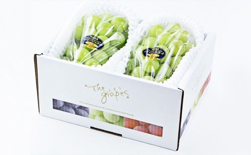 ぶどう 先行予約 シャインマスカット 晴王 2房 合計1.0kg以上  ブドウ 葡萄  岡山県産 国産 フルーツ 果物 ギフト