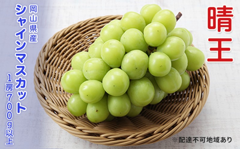 ぶどう 先行予約 シャインマスカット 晴王 1房 700g以上  ブドウ 葡萄  岡山県産 国産 フルーツ 果物 ギフト