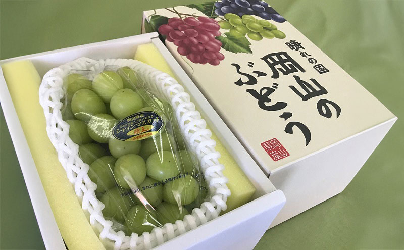 ぶどう 先行予約 シャインマスカット 晴王 1房 800g以上  ブドウ 葡萄  岡山県産 国産 フルーツ 果物 ギフト