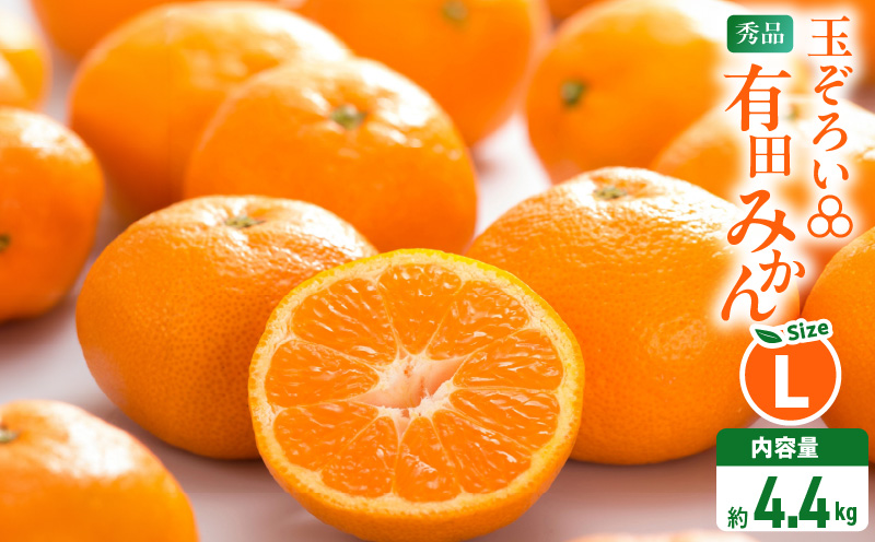 MK1042_みかん Ｌサイズ 秀品 箱込 5kg ( 内容量 4.4kg ) 有田みかん 和歌山県産 産地直送 贈答用 【みかんの会】