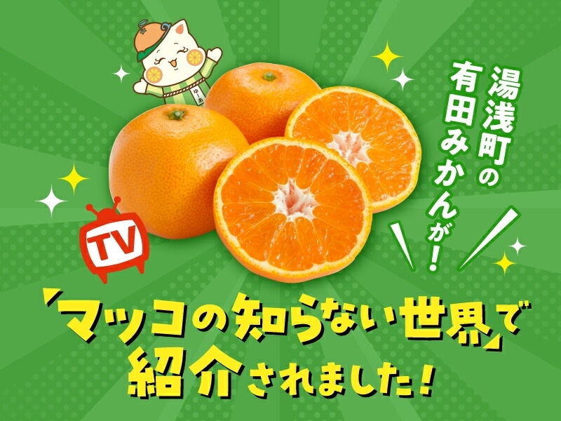 MK1042_みかん Ｌサイズ 秀品 箱込 5kg ( 内容量 4.4kg ) 有田みかん 和歌山県産 産地直送 贈答用 【みかんの会】