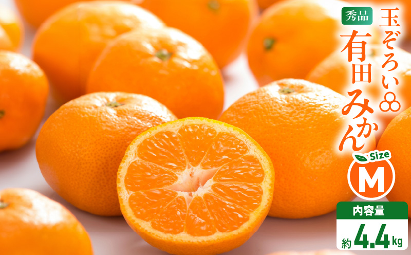 MK1044_みかん Ｍサイズ 秀品 箱込 5kg ( 内容量 4.4kg ) 有田みかん 和歌山県産 産地直送 贈答用 【みかんの会】