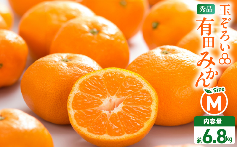 MK1045_みかん Ｍサイズ 秀品 箱込 7.5kg ( 内容量 6.8kg ) 有田みかん 和歌山県産 産地直送 贈答用 【みかんの会】
