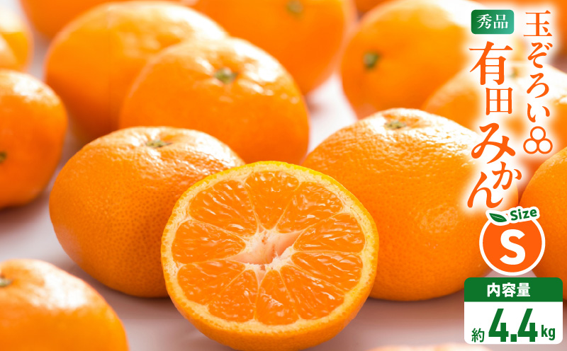 MK1046_みかん Ｓサイズ 秀品 箱込