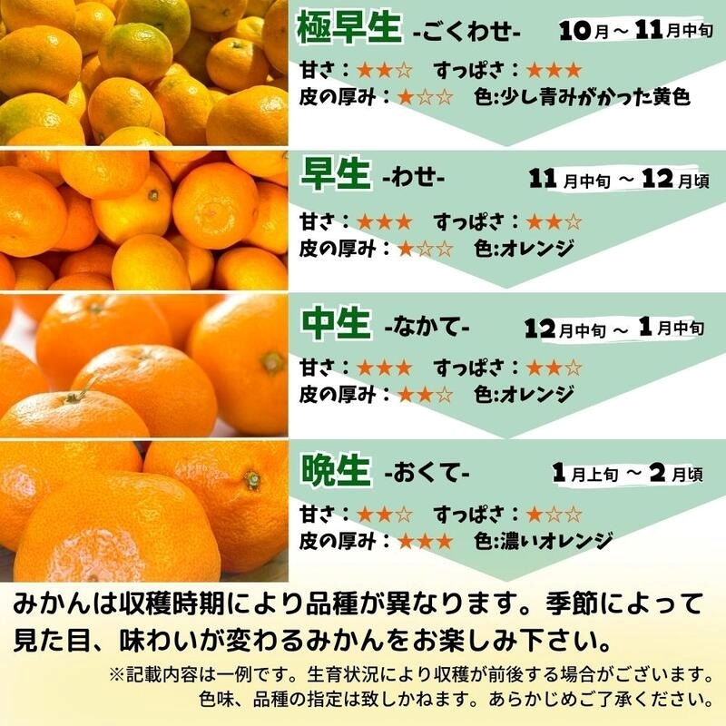 和歌山県湯浅町のふるさと納税 MK1046_みかん Ｓサイズ 秀品 箱込 5kg ( 内容量 4.4kg ) 有田みかん 和歌山県産 産地直送 贈答用 【みかんの会】