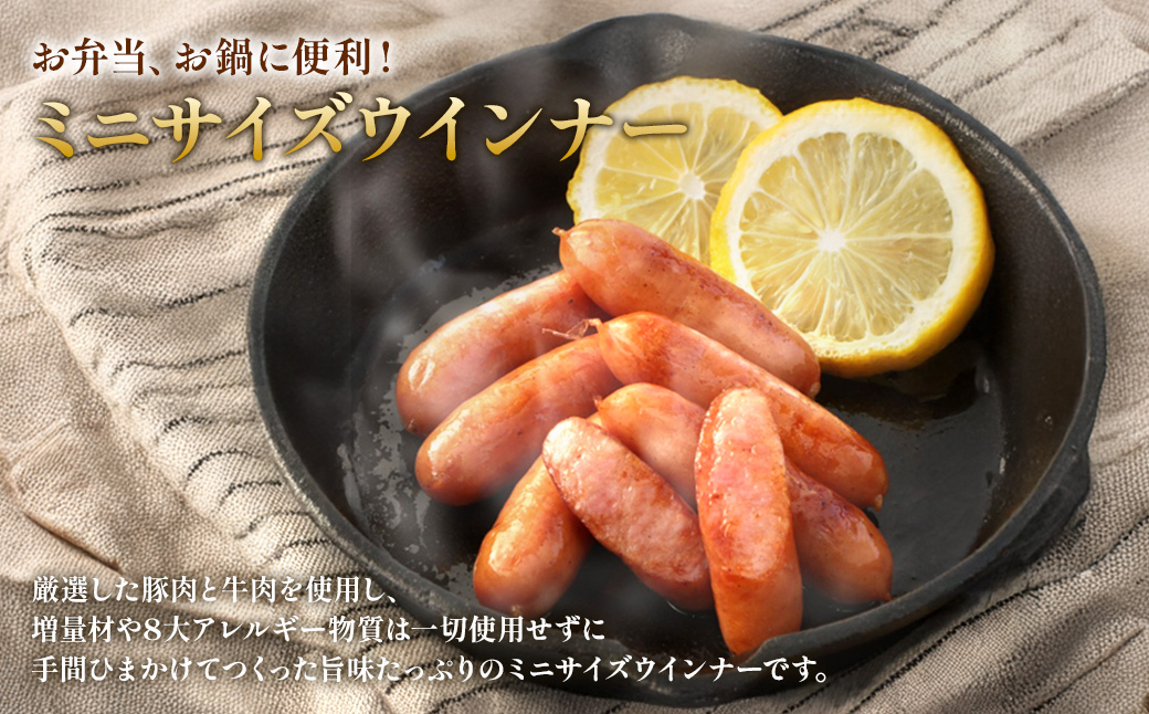 えびの高原 ミニサイズ ウインナー 80g×6パック 合計 480g 豚肉 牛肉 人気 おかず お弁当 おつまみ 総菜 冷蔵 加工品 焼肉 ギフト 九州 宮崎県 えびの市 送料無料