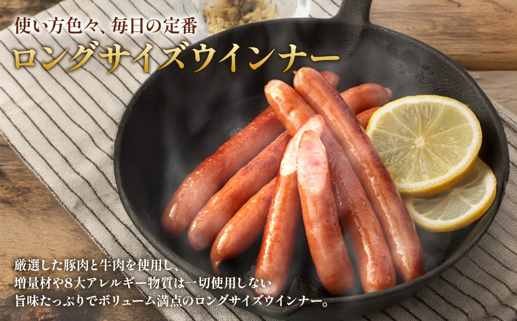 えびの高原 ロングサイズウインナー 176g×6パック 合計 1056g 豚肉 牛肉 人気 おかず お弁当 おつまみ 総菜 冷蔵 加工品 焼肉 ギフト 九州 宮崎県 えびの市 送料無料