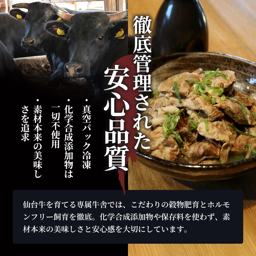 牛すじ煮込み 3kg (300g×10個) セット 詰め合わせ 仙台牛 国産 牛 国産牛 国産牛肉 牛肉 肉 お肉 牛すじ 牛筋 煮込み 惣菜 化学合成添加物不使用 保存料不使用 湯煎 湯せん ボイル 牛すじ肉 すじ肉 ご飯のお供 ごはんのお供 宮城 宮城県 岩沼市