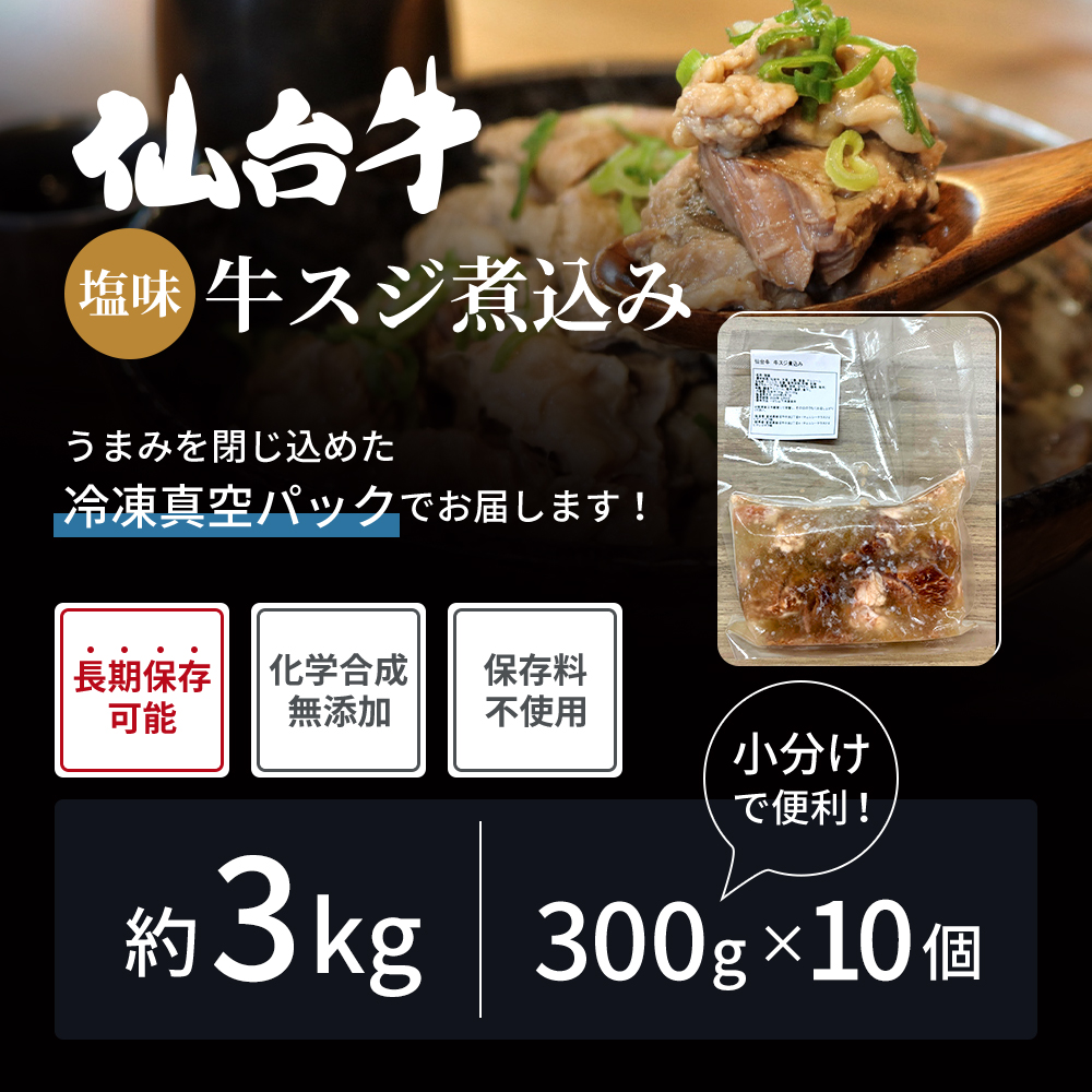 牛すじ煮込み 3kg (300g×10個) セット 詰め合わせ 仙台牛 国産 牛 国産牛 国産牛肉 牛肉 肉 お肉 牛すじ 牛筋 煮込み 惣菜 化学合成添加物不使用 保存料不使用 湯煎 湯せん ボイル 牛すじ肉 すじ肉 ご飯のお供 ごはんのお供 宮城 宮城県 岩沼市