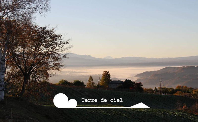 ワイン 2024 メゾンオランジェ 750ml 白ワイン お酒 酒 アルコール 長野県 小諸市 小諸 ギフト プレゼント ※配送不可:離島